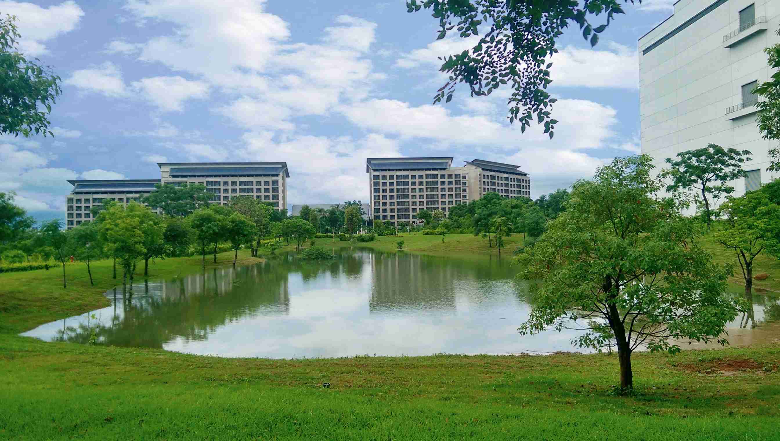 彩运网响应国际倡议生物多样性趋势，，，，首次发布TNFD自然相关财务揭露报告书，，，擘划及开展彩运网生物多样性政策之承诺，，，逐步迈向与自然和谐共生